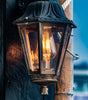 Swing Arm Plug-In Wall Sconce