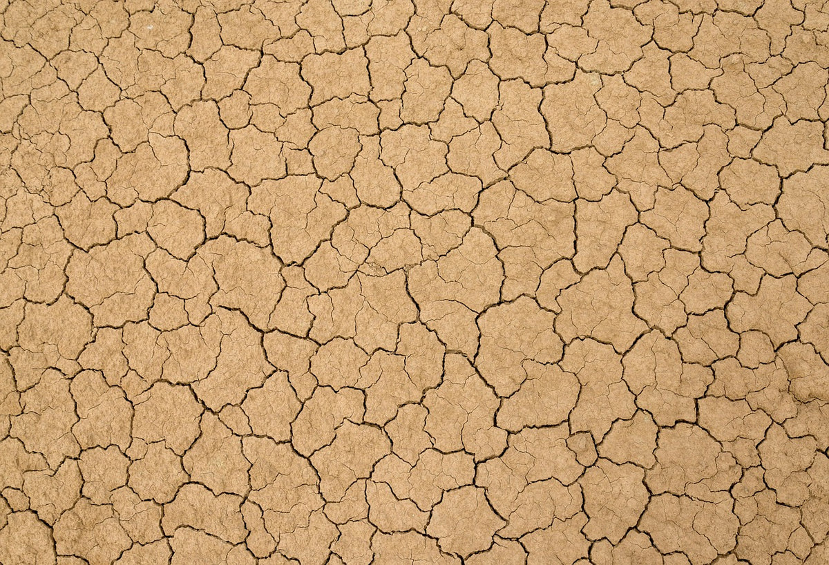 Volumizing Dry Shampoo