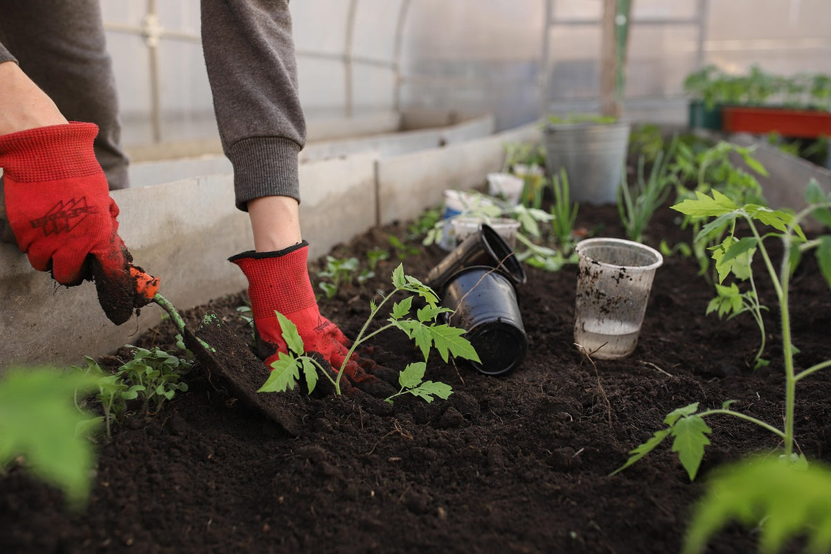 Goatskin Gardening Gloves