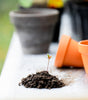 Classic Terracotta Planter Set