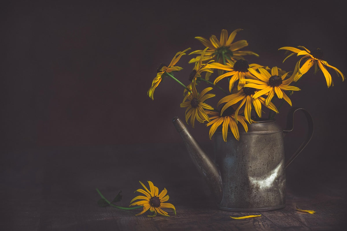 Galvanized Steel Watering Can