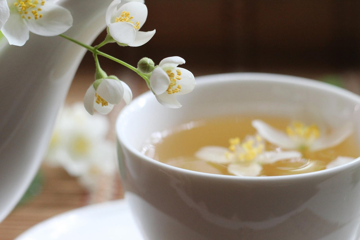Jasmine Pearl Green Tea