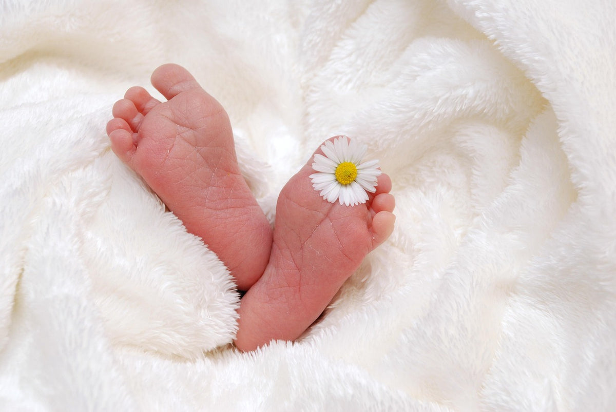 Muslin Swaddle Blankets 3-Pack