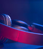 Wander Neckband Earphones