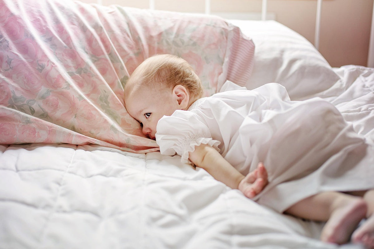 Organic Cotton Percale Sheet Set