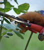 Bypass Pruning Shears