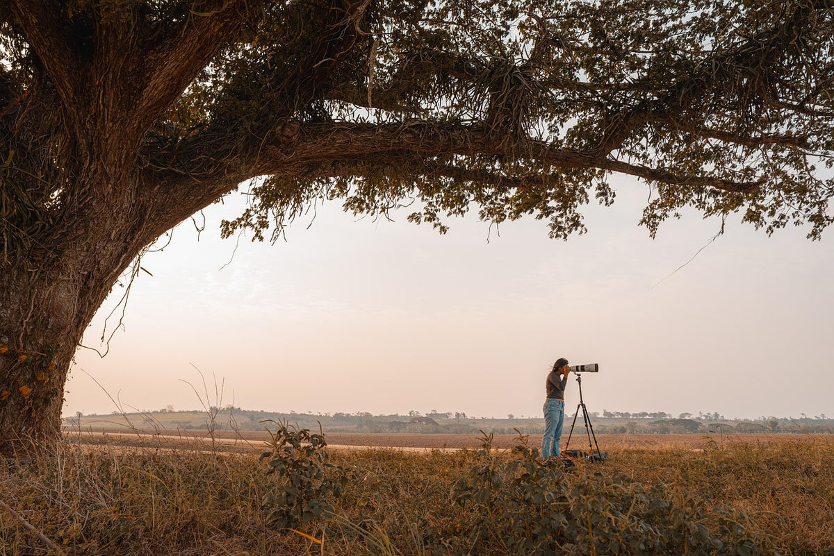 Halden Travel Carbon Tripod