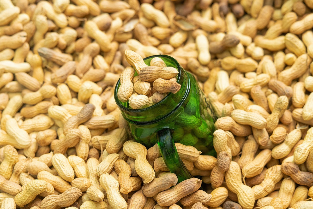 Insulated Food Jar