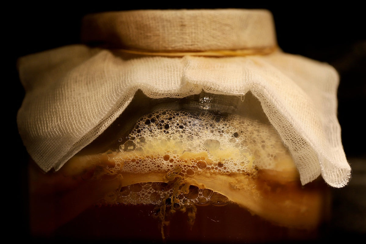 Raw Kombucha
