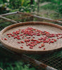 Bamboo Bathtub Tray