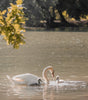Felt Cloud Crib Mobile