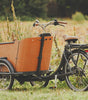 Wooden Balance Bike