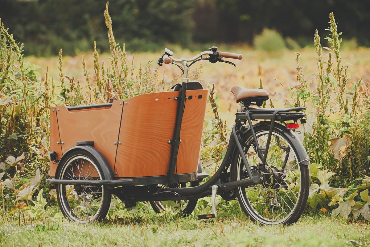 Wooden Balance Bike