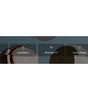Scrolling features 1-1
