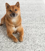 Cape house rugs