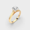 1 Carat round diamond ring