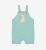 Peter rabbit summer overalls