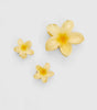 Set of 3 flower hair clips