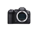 EOS R6 mark II body