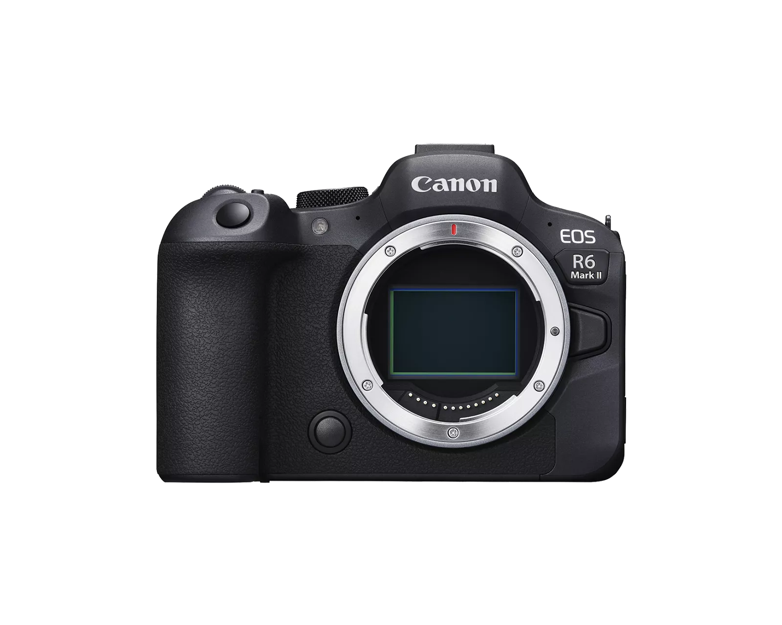 EOS R6 mark II body