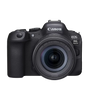 EOS R6 Mark II RF24-105mm