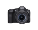 EOS R6 Mark II RF24-105mm