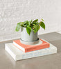 Philodendron green