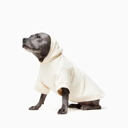 Winter dog hoodies
