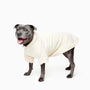Winter dog hoodies