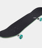 Flagship the hedgehog skateboard