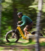 Nomad 1 plus ebike
