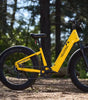 Nomad 1 plus ebike