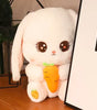 Plushie bunny