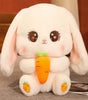 Plushie bunny